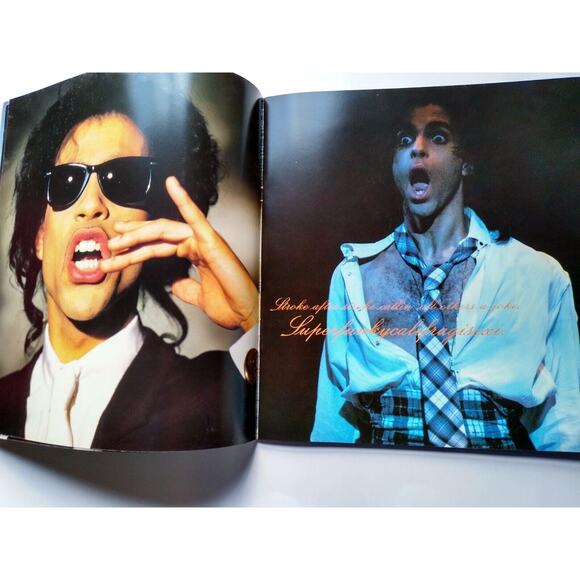 Prince Love Sexy Tour Book Original 1988 Pop Funk Soul Glam Rock Music Photos - Picture 10 of 10
